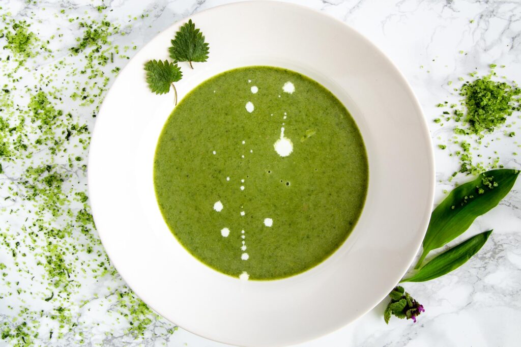 stinging nettle and wild garlic soup