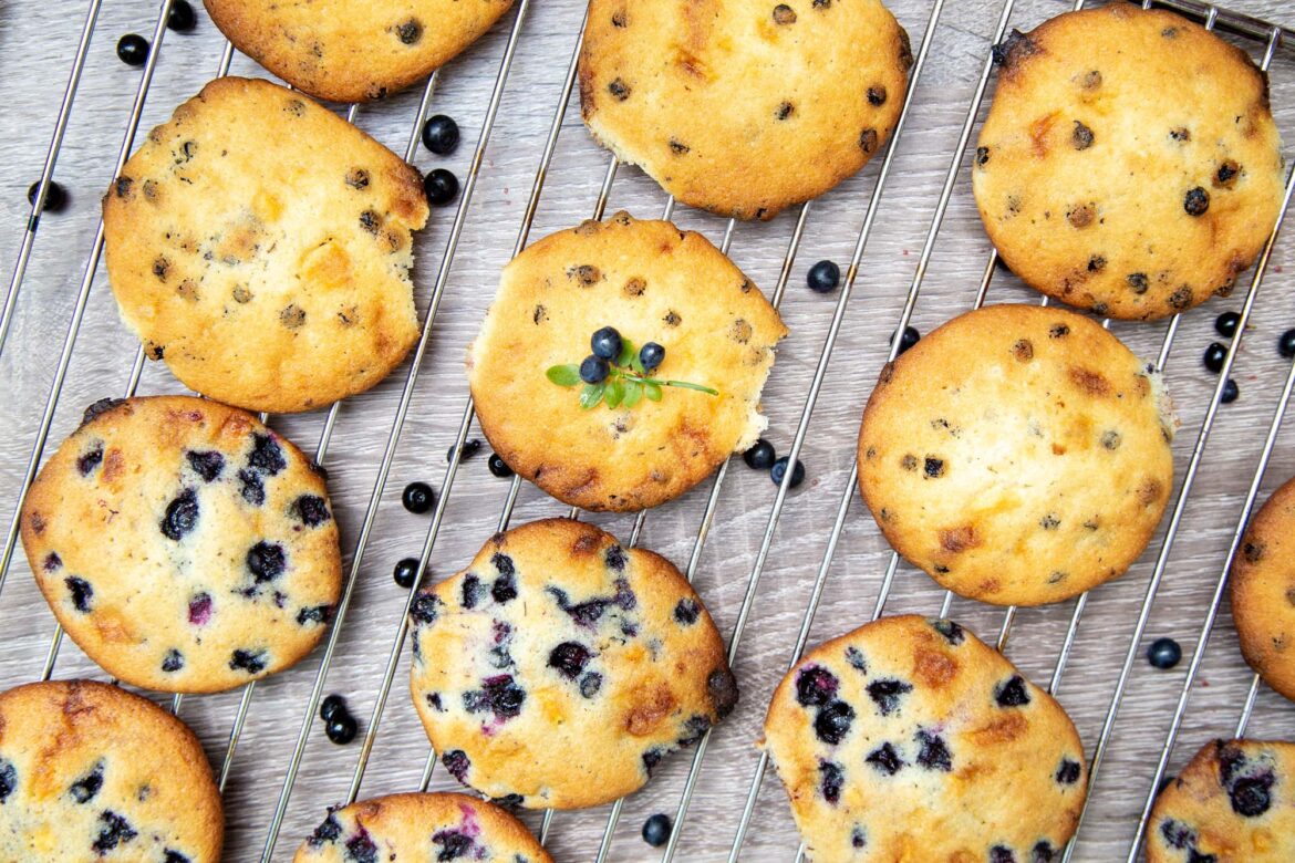 Wild Blueberry Cookies with Fresh and Dried Blueberries and White