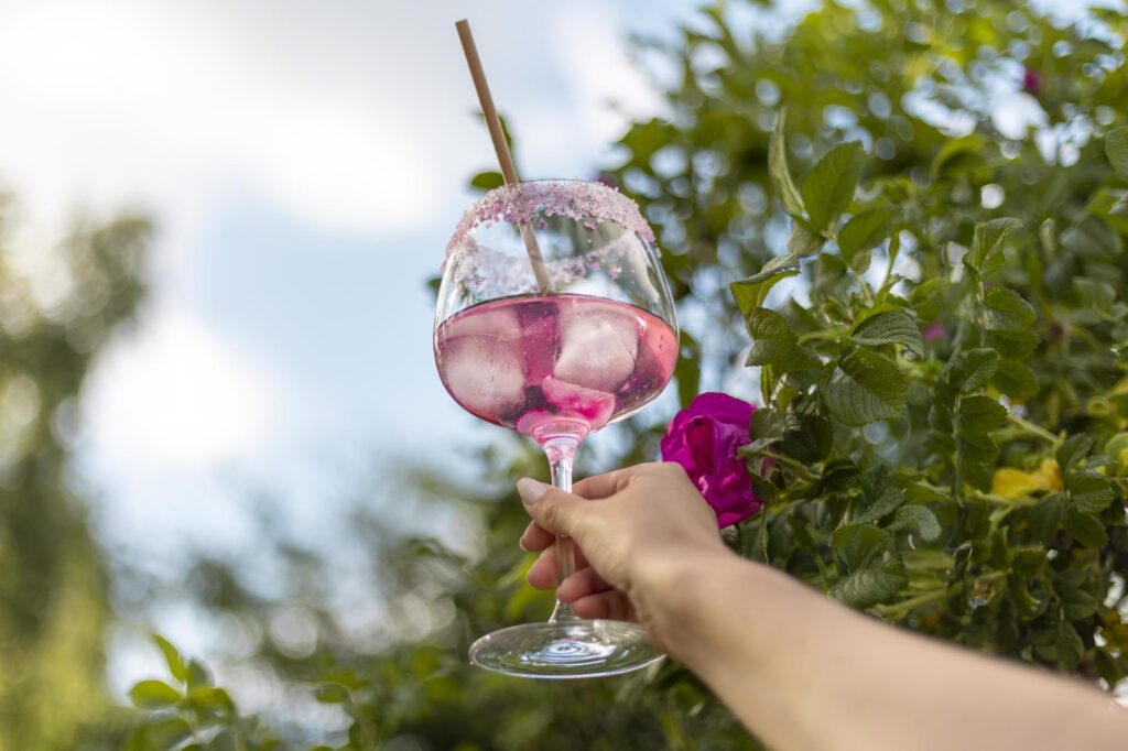 wild rose gin cocktail