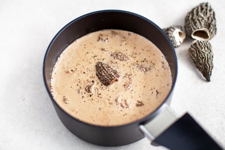 The Classic Morel Mushroom Sauce classic morel mushroom sauce
