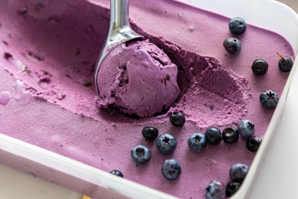 bilberry/blueberry ice cream