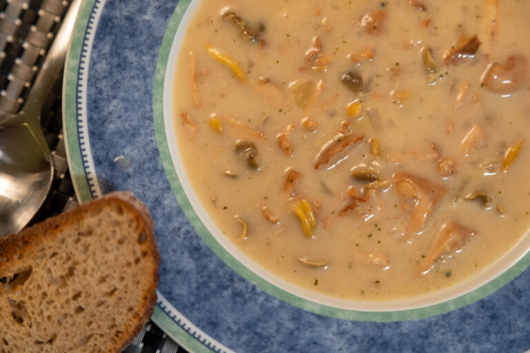 wild hedgehog mushroom soup