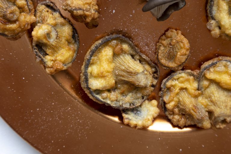 Friturestegte vilde østershatte