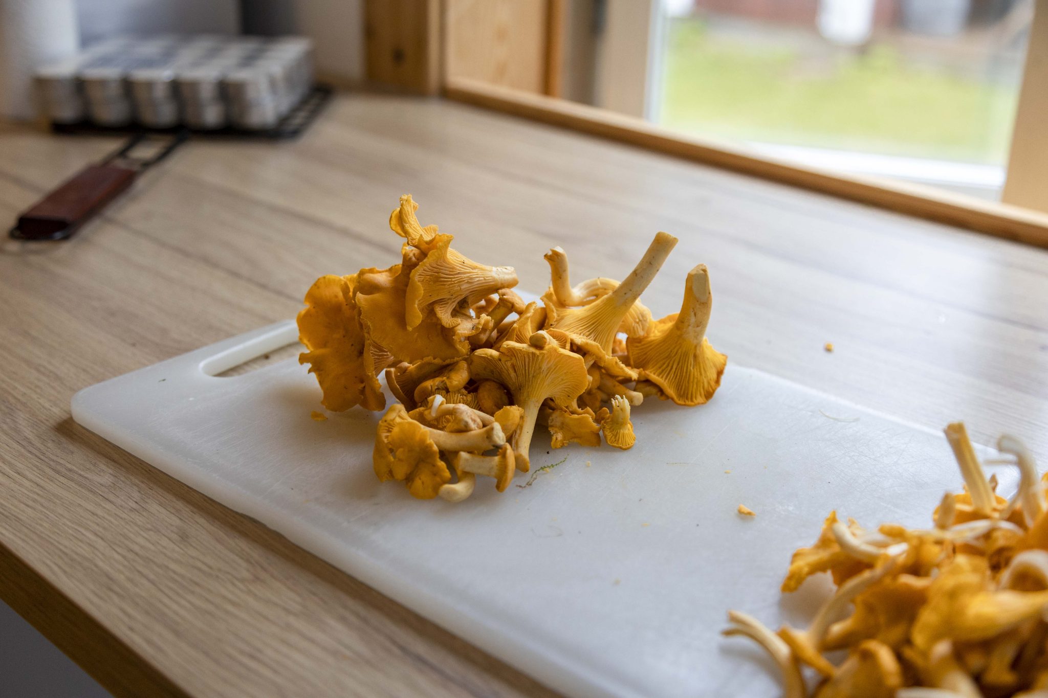 How to Clean, Store and Preserve Wild Mushrooms Nordic Forest Foods