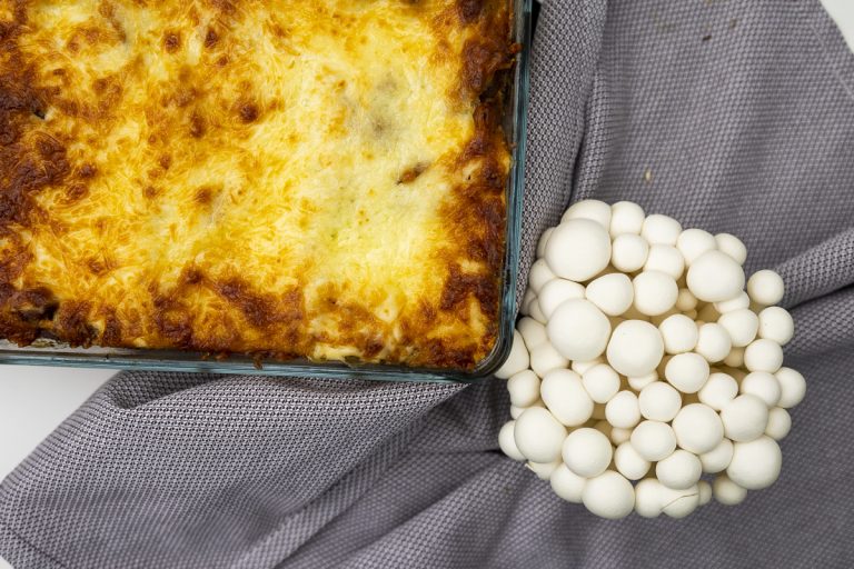 svampelasagne