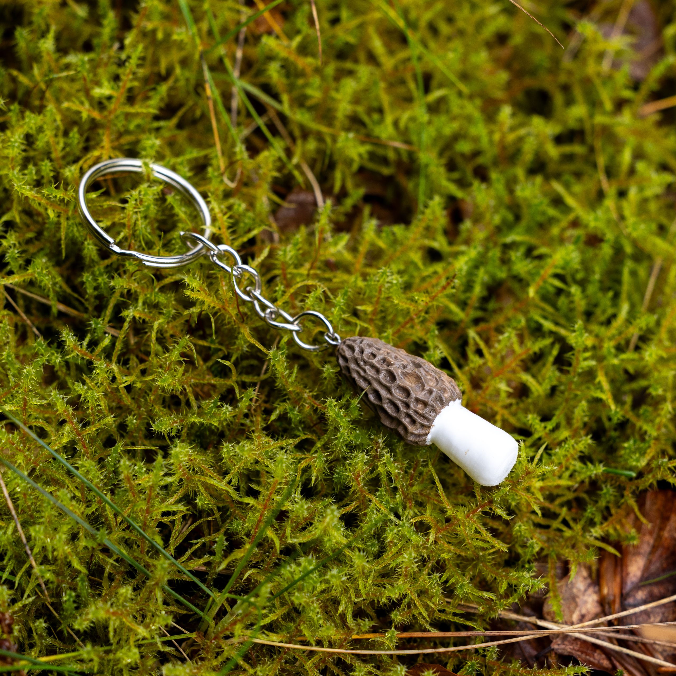 Svampenøglering Morkel - Image 3