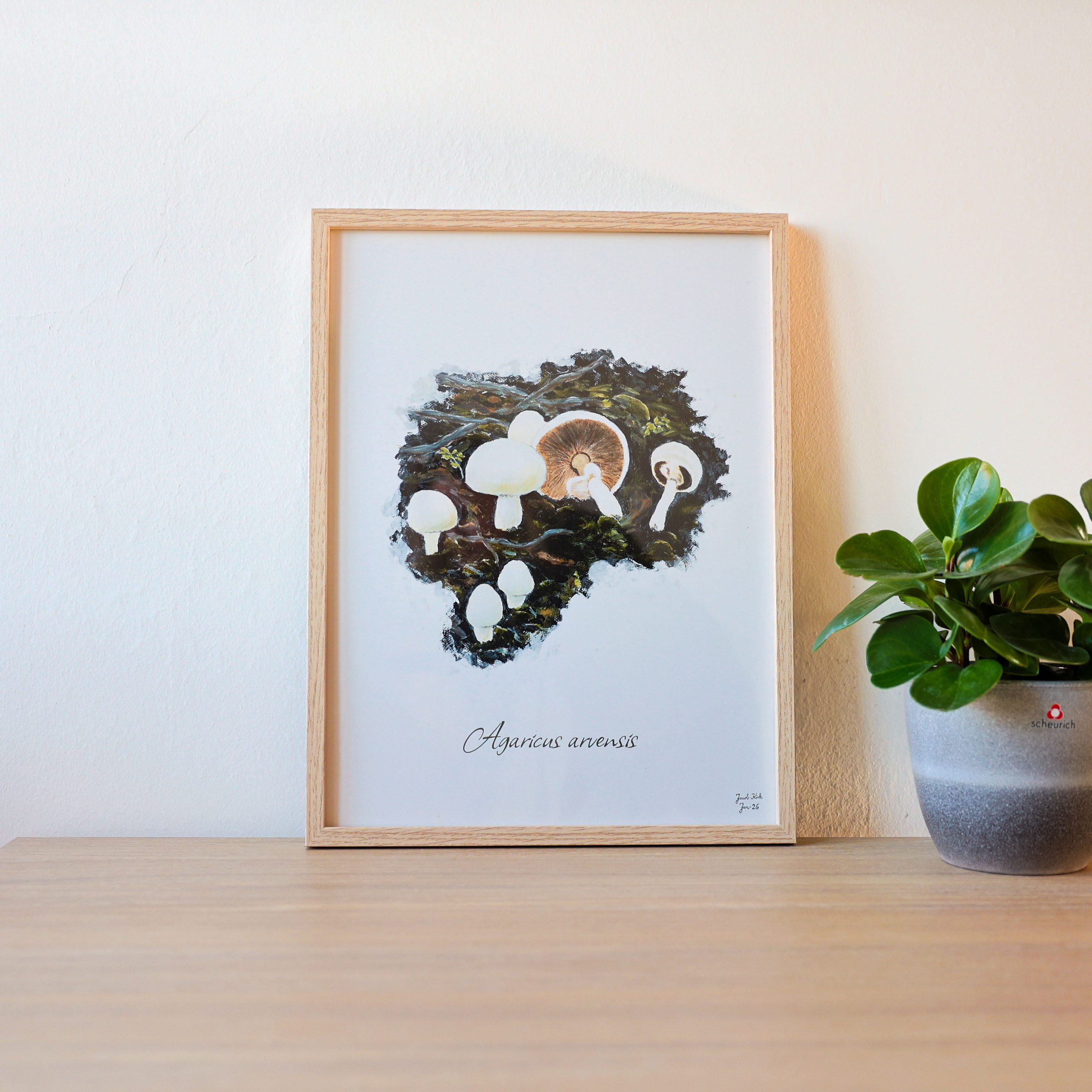 Svampeplakat - Ager-Champignoner (Agaricus arvensis) egetræsramme