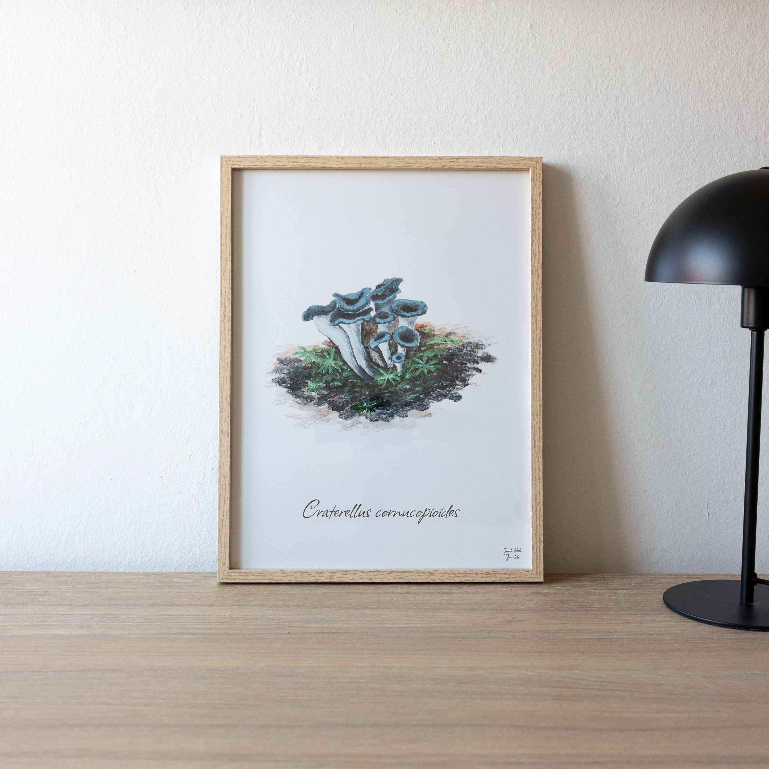 Trompetsvampe (Craterellus cornucopioides)