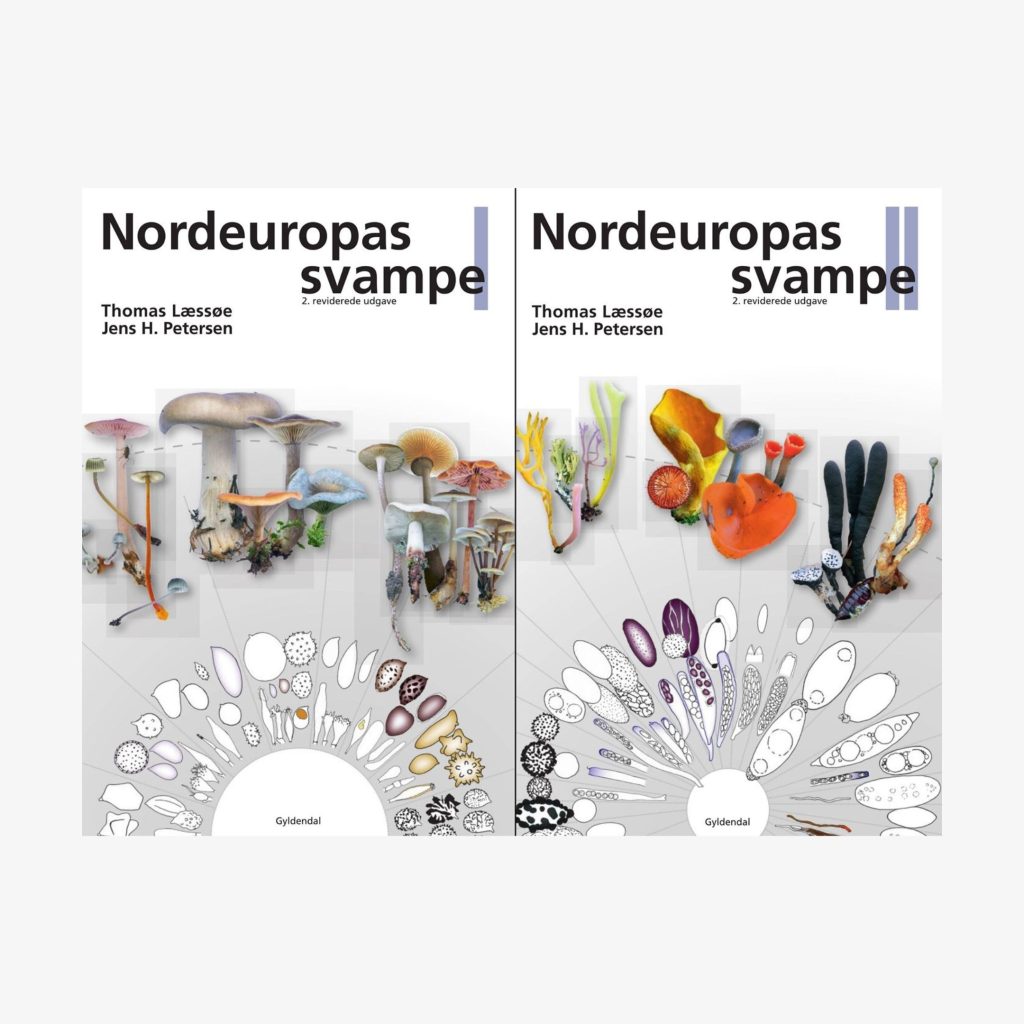 90 Nordeuropas svampe