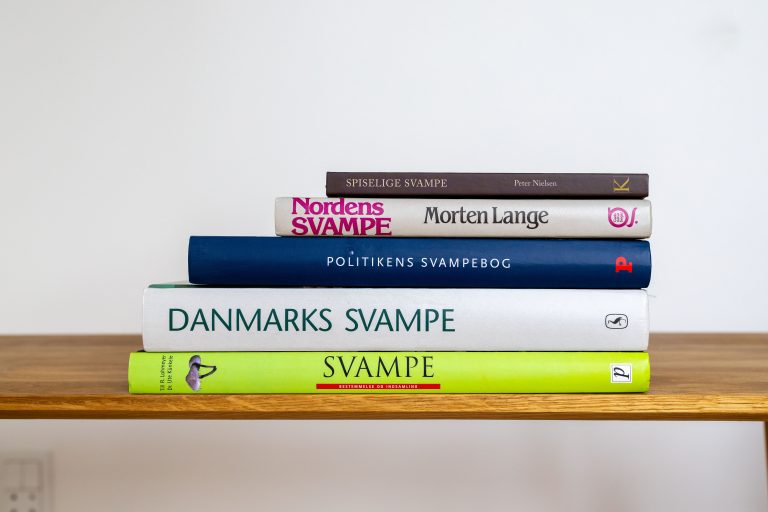 De bedste svampebøger