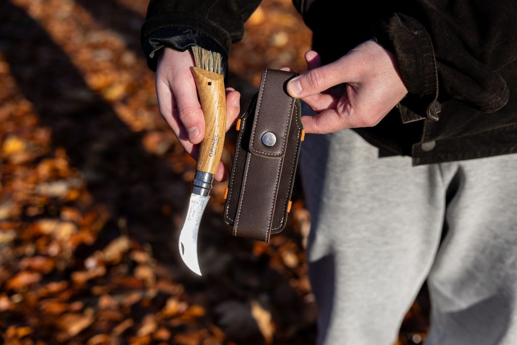 Opinel Svampekniv N°8, Eg, Giftbox