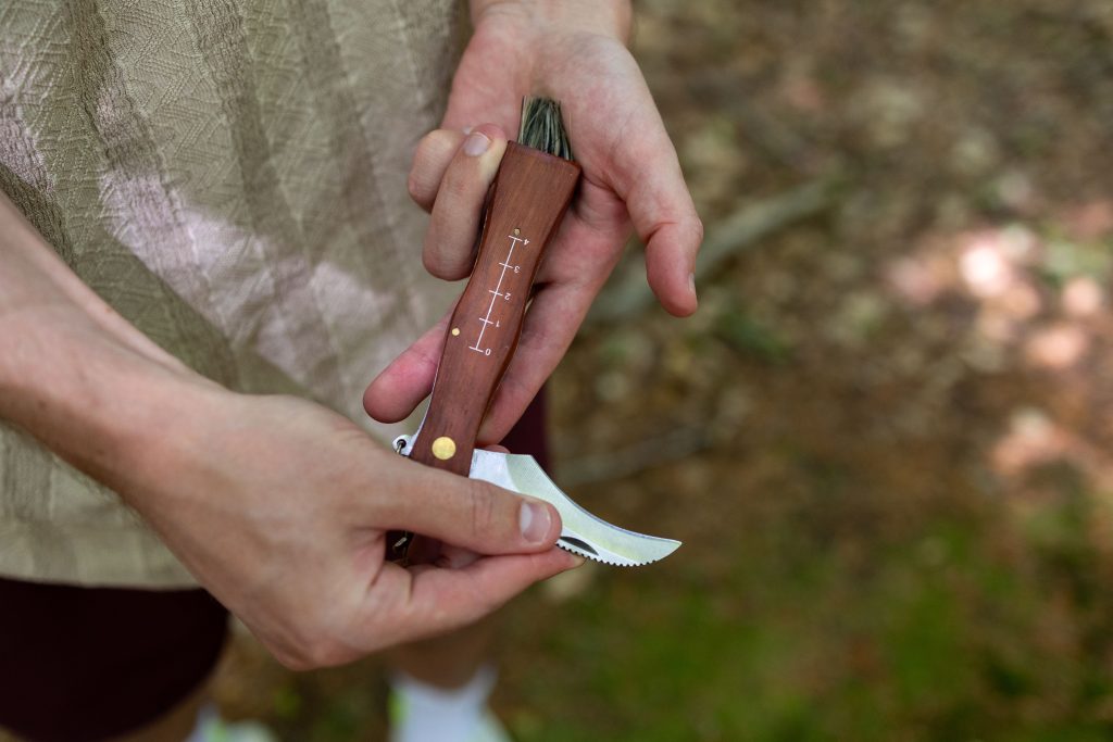 Skovkær produkter_86 Foldbar Svampekniv med Børste i Ædeltræ her