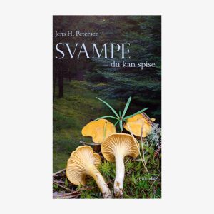 Svampe - du kan spise