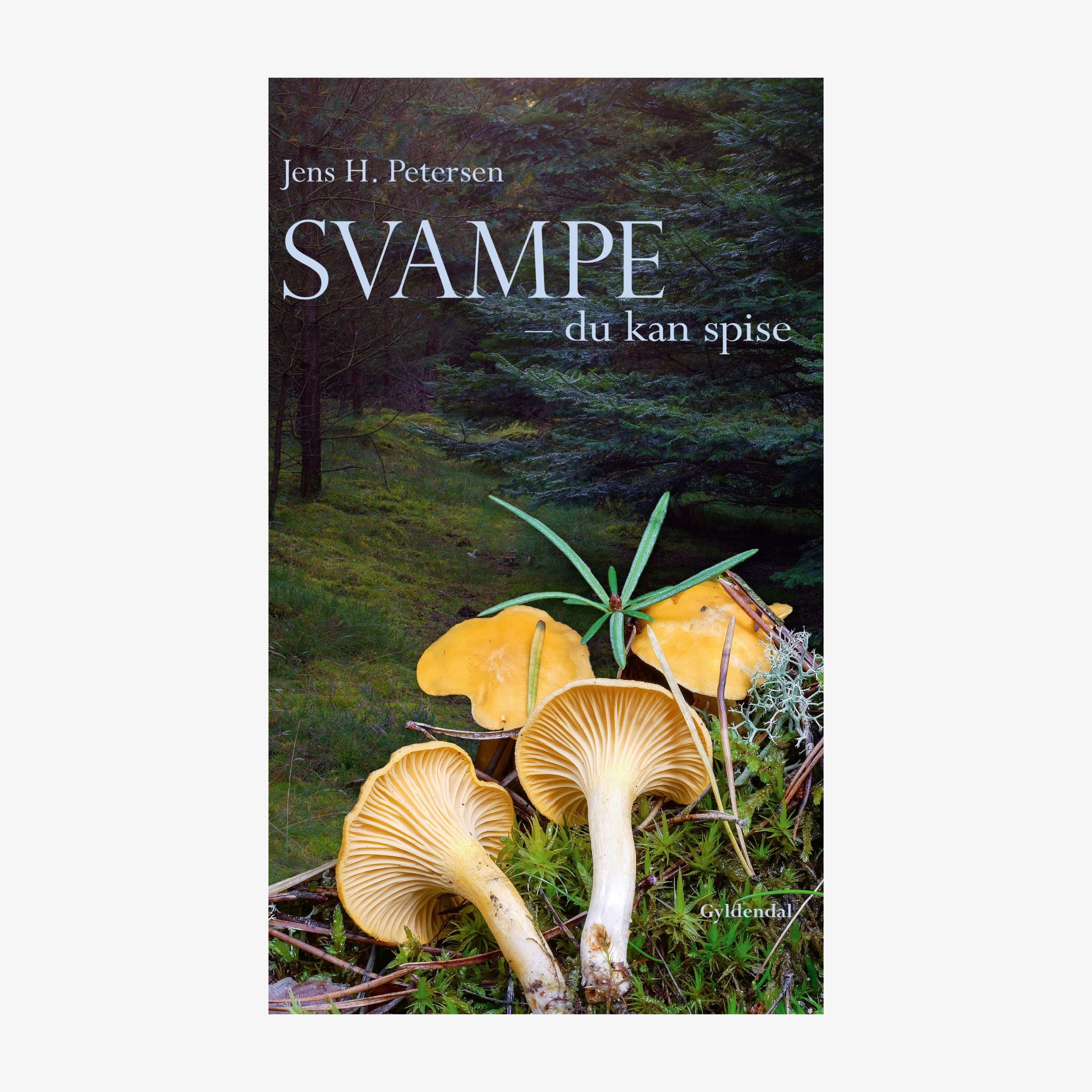 Svampe - du kan spise